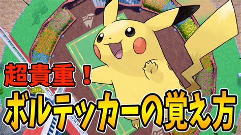 【ポケモンsv】ピカチュウのボルテッカーの覚え方｜横遺伝は可能？ Appbank