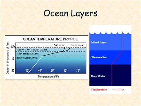 Ppt The Oceans Are A Connected System Powerpoint Presentation Free Download Id 6001460