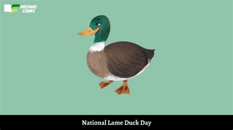 National Lame Duck Day 2024: Date, History and Significance - PrepareExams