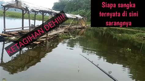 Mancing Gabus Spot Mancing Rakit Jadi Sarangnya Gabus Waduk Cirata