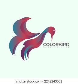 Color Bird Logo Design Vector Stock Vector (Royalty Free) 2242243501 ...