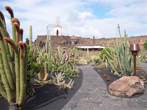 Jardin Des Cactus Plantes Jard N De Cactus Lanzarote Routard