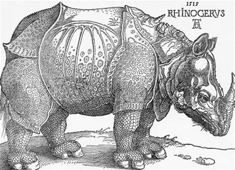 Dürer s Rhinoceros Alchetron The Free Social Encyclopedia