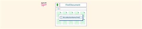 MongoDB Find Document Using Db Collection Find Method Scaler Topics