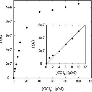 Cyclic Voltammogram Of A 7 Mm Diameter Carbon Microdisk Modified By MO