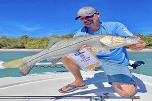 Best Saltwater Fishing Spots In Florida Inshore Offshore Gulf Coast