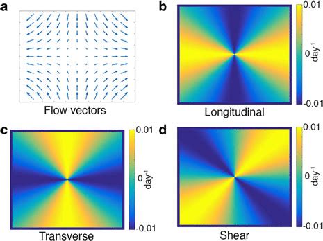 Strain Rates Calculated From A Uniform Strain Velocity Field A