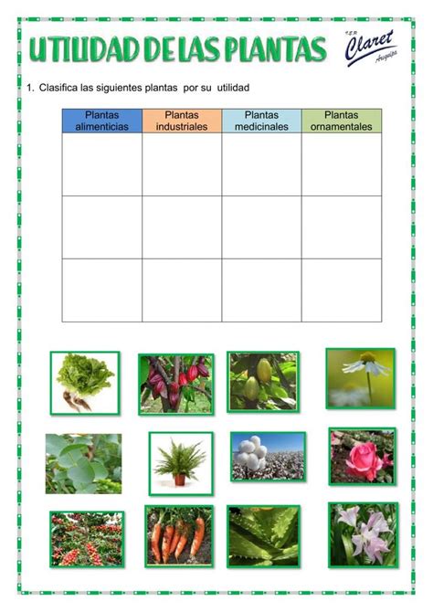 Utilidad De Las Plantas Exercise Worksheets Language Interactive