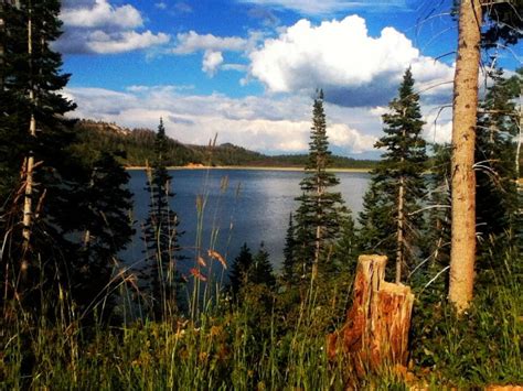 Navajo Lake, Utah