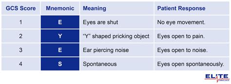 Glasgow Coma Scale Gcs What It Is Interpretation Chart