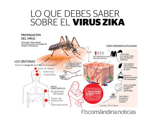 Qué es el Zika Síntomas y como se previene Notinor Jujuy