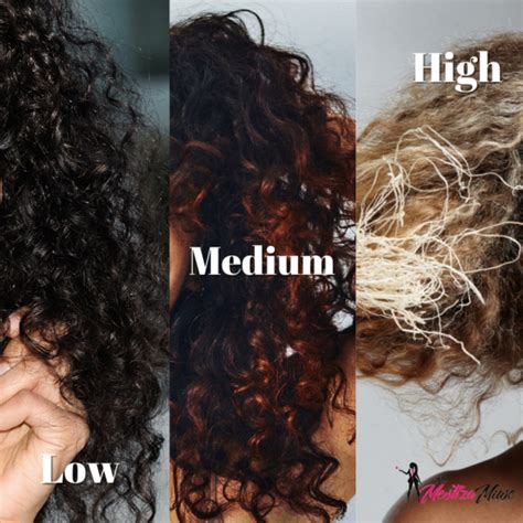 Hair Porosity 101 The Ultimate Guide The Mestiza Muse