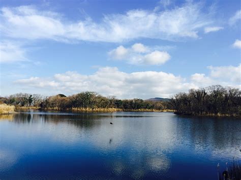 Jeju Island Lake Landscape Free Photo On Pixabay Pixabay