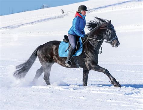 The Benefits of Cantering Your Horse | Horse Journals