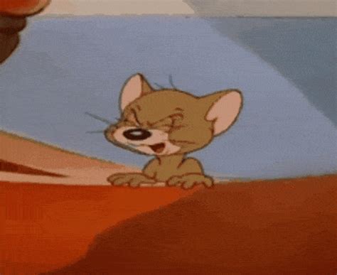 Yakınlaştır işitme affirm tom and jerry gif davacı fanatik Şanslı