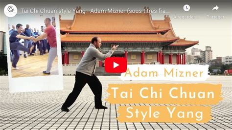 TAI CHI LYON HEAVEN MAN EARTH STYLE YANG