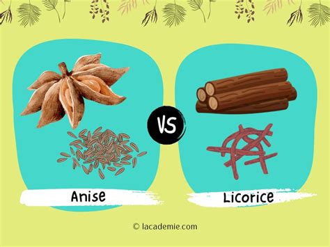 Anise Vs. Licorice - The Confrontation Of Two Renowned Spices