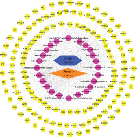 The Construction Of Drug Compound Target Disease Network And Ppi