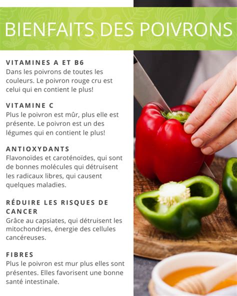 Le Poivron Recettes Et Conseils Pour Bien Le Cuisiner Arctic Gardens