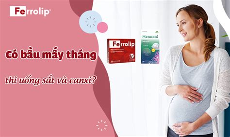 Có bầu mấy tháng thì uống sắt và canxi Cách bổ sung chuẩn