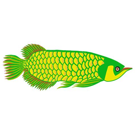 Hermosa Imagen De Pez Arowana Amarillo Vector Png Imagen Arowana