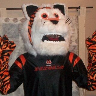 DIY Homemade Cincinnati Bengals Tiger Mascot | Tiger costume diy, Diy ...