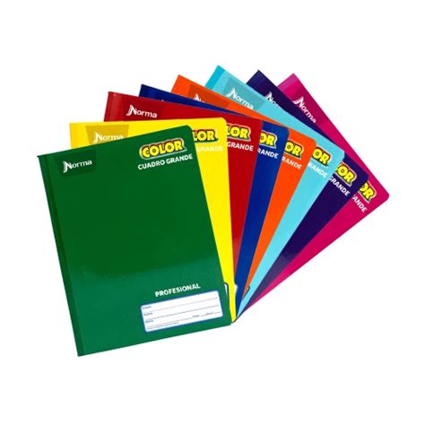 Cuaderno Cosido Profesional Cuadro Grande Hojas Norma Color