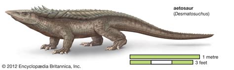 Deinosuchus Vs Sarcosuchus