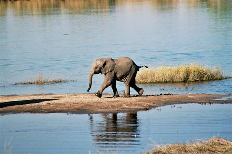 Chobe National Park