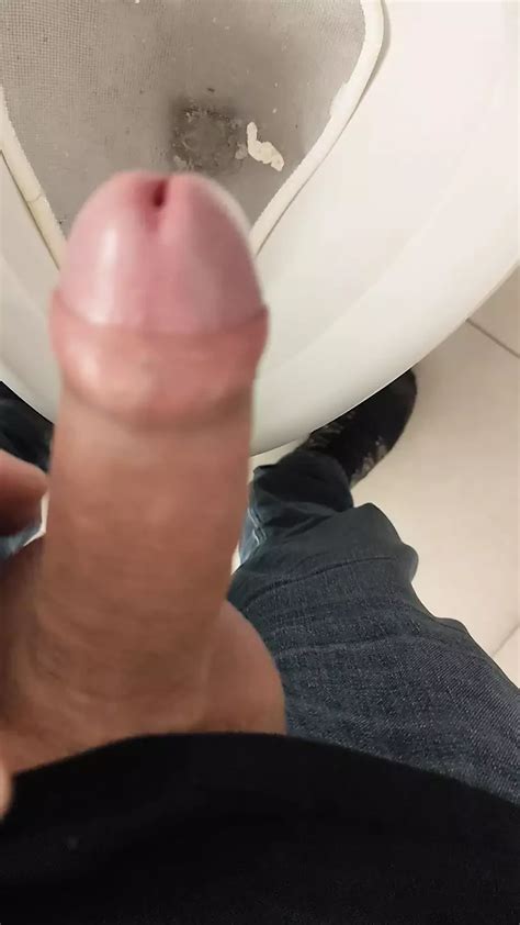 Free Public Wc Gay Porn Videos Xhamster