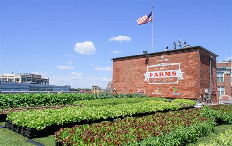 Recover Green Roofs New England Green Roofs