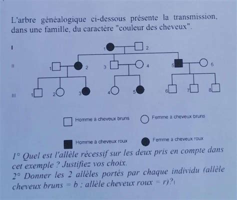 Bonjour C Est Pour Demain Si Quelqu Un Peut M Aider L Arbre