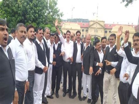 Lawyers 39 Strike Continues In High Court हाईकोर्ट में वकीलों की हड़ताल जारी प्रयागराज न्यूज