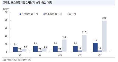 포스코퓨처엠 2차전지 수요 수혜주투자의견 하향 Nh 네이트 뉴스