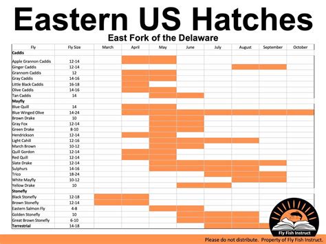 Fly Hatch Chart Printable Fly Size Chart