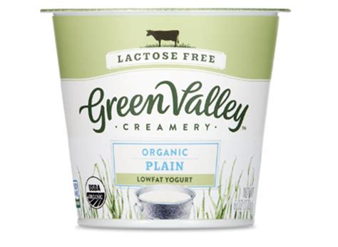 12 Lactose-Free Yogurt Brands You'll Love — Eat This Not That