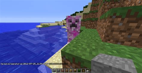 Minecraft Purple Creeper