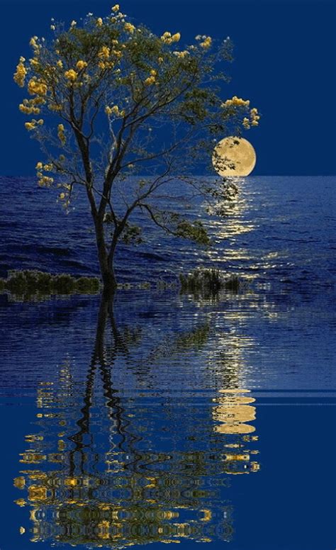 06 | abril | 2016 | A VUELTAS CON LA LENGUA 