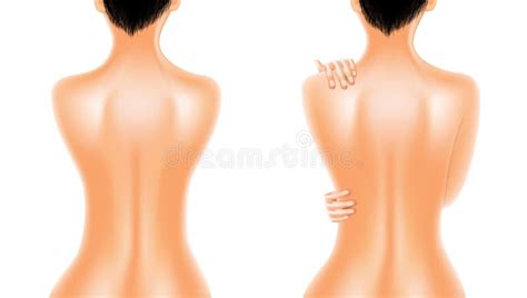 Naked Back Of Beautiful Oiled Woman Stock Illustration Illustration Of Beauty Model 122705522