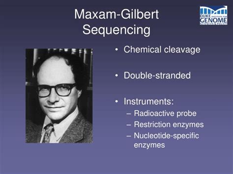 PPT - Sanger and Maxam-Gilbert Sequencing PowerPoint Presentation - ID ...