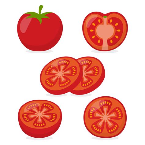 Tomato Vector Image Vector Art At Vecteezy