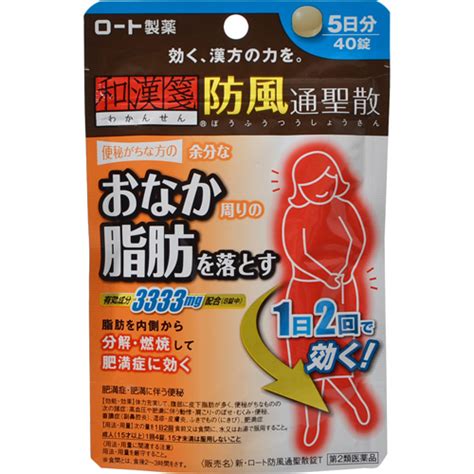 [Internet Market from Japan SAKURA]ROHTO БОФУСАН (Курс: 5 дней)