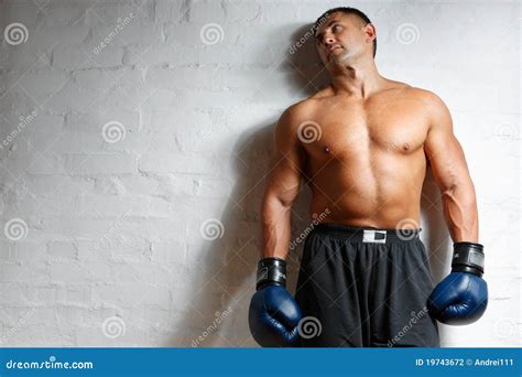 The Man The Boxer At A Wall Stock Photo Image Of Arts Competitive