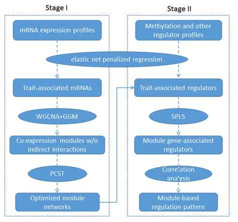 Workflow Of The Integrative Analysis Of Multi Omics Data Download