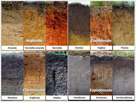 Na Superfície Terrestre Podemos Encontrar Apenas Um Tipo De Solo