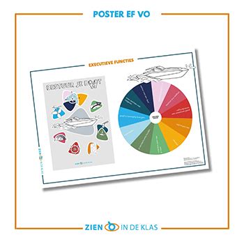 Metafoor Executieve Vaardigheden Vo Zien In De Klas