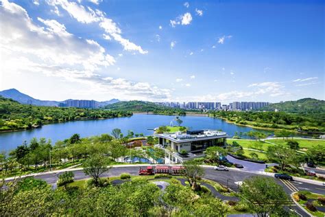 “惠州碧桂園伴海雲山洋房”中發睇樓 日日出發 中發地產助你灣區置業