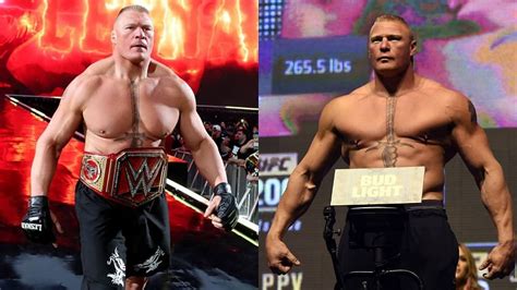 UFC Heavyweight fighter discloses if he knew Brock Lesnar was using ...