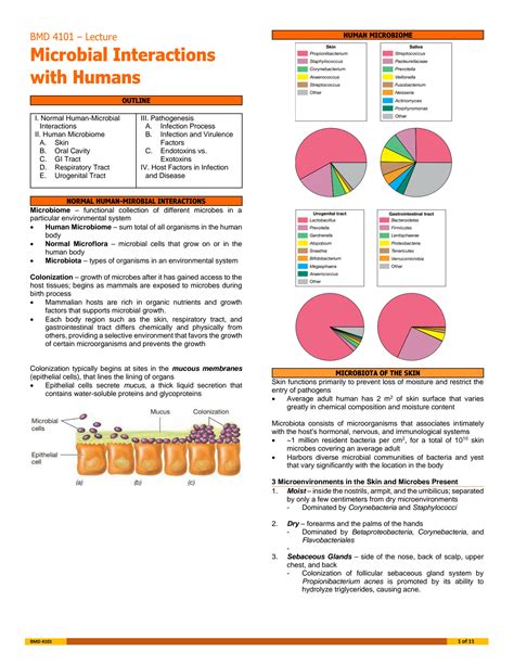 Solution Microbiology Microbial Interactions With Humans Studypool