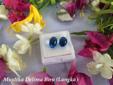 Jual Mustika Delima Biru Langka Di Lapak Budaya Banjarmasin Bukalapak